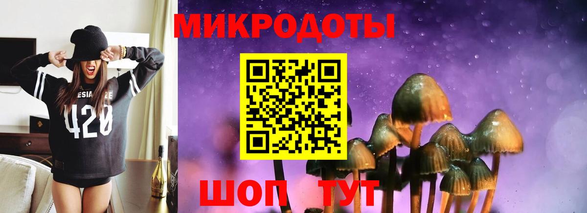 Карасук  Галлюциногенные грибы мухоморы  Псилоцибиновые грибы Magic Shrooms  Вход с VPN 